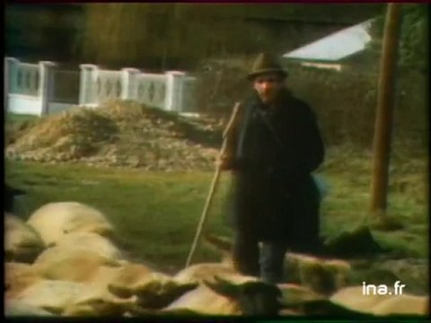 Ja2 20h : émission du 28 janvier 1977