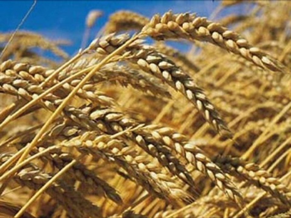 Mon film  8      Danny Barthel  MON COEUR TE DIT MERCI  2010