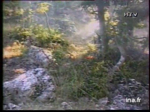 19/20 : EMISSION DU 28 AOUT 1991