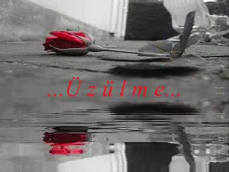 MURAT İNCE - sevdim seni             ░║ ●.°•. SUSKUN˙·٠٠•● ®