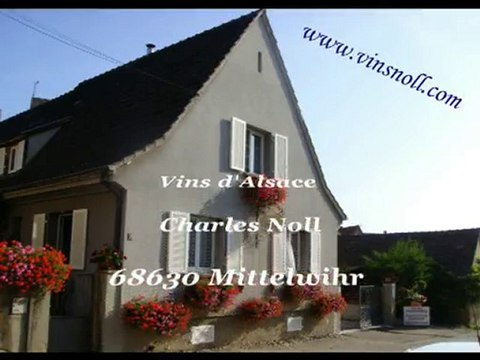 Vendanges 2010 Vins Charles Noll