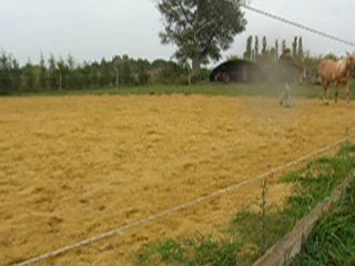 Tiz longe 2  24/10/2010