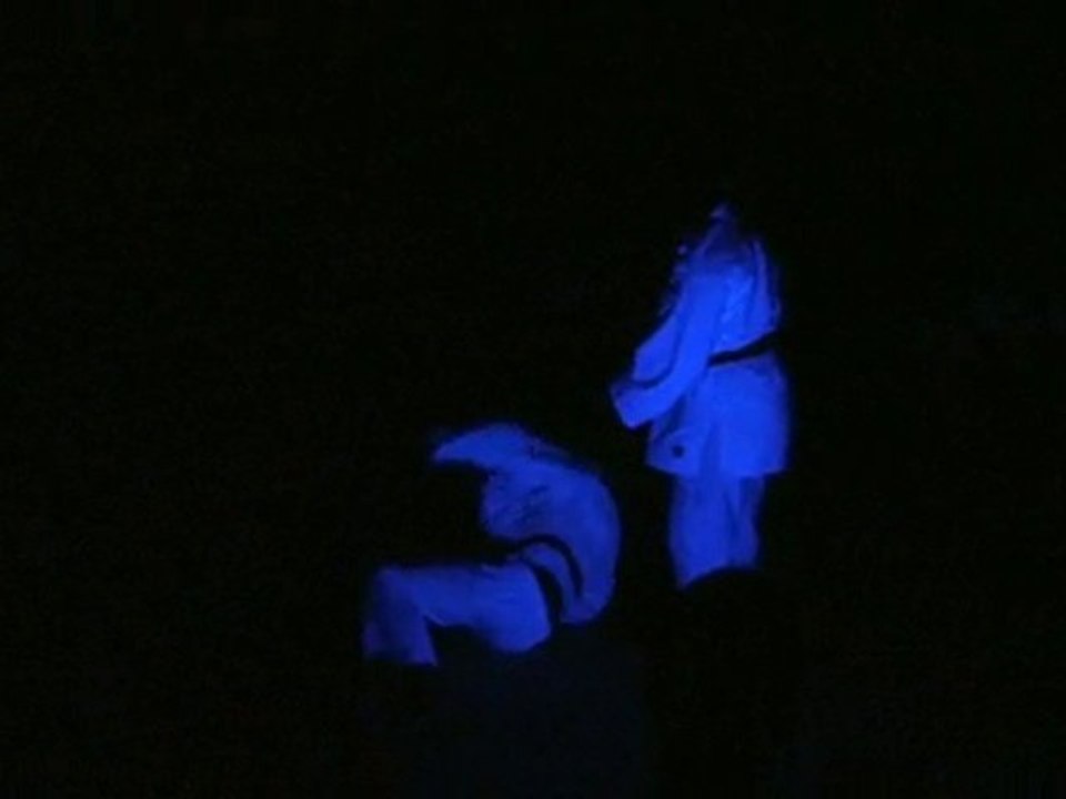 Gala 2010 les katas de judo dans le noir