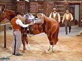 Free TV Series: Bonanza - The Savage