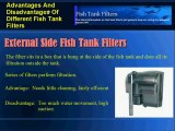 Advantages And Disadvantages Of Different Fish Tank Filters