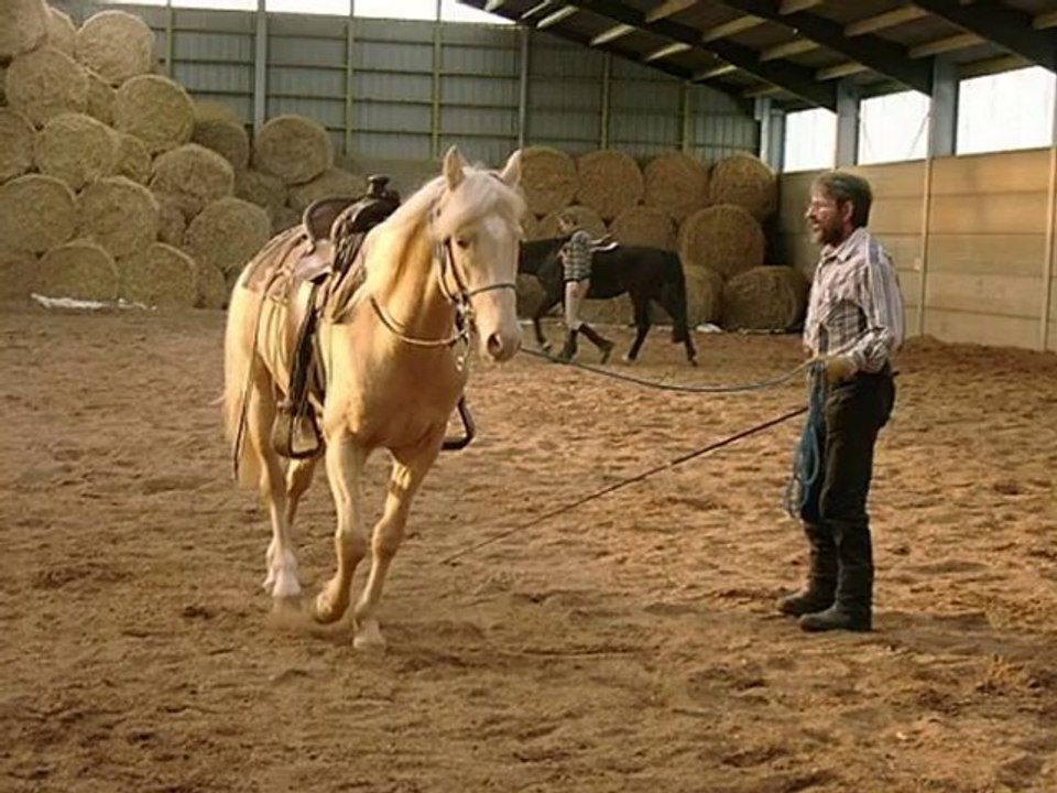 Tribute to swissy (pleasure's pot o' gold)