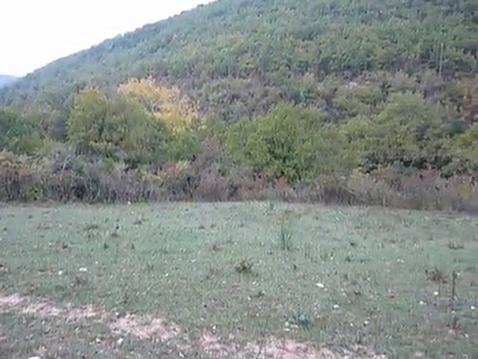 Poste Chasse Ardèche 23-10-10
