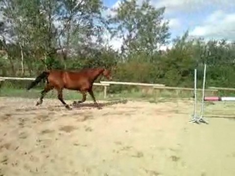 Séance du 23 octobre saut en liberté 4