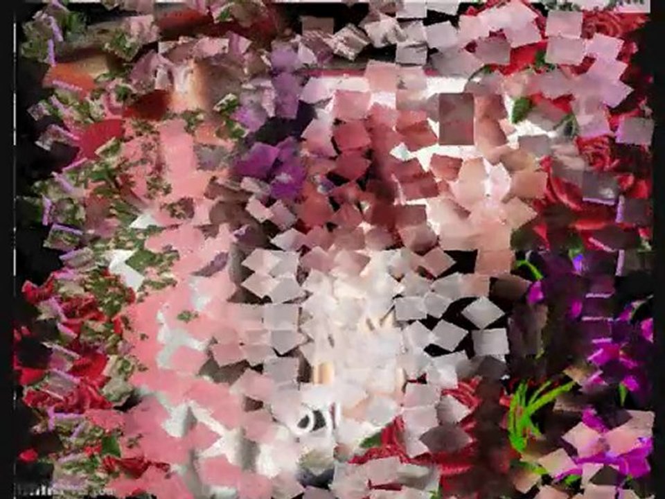 mon amour  je t'aime a la folie