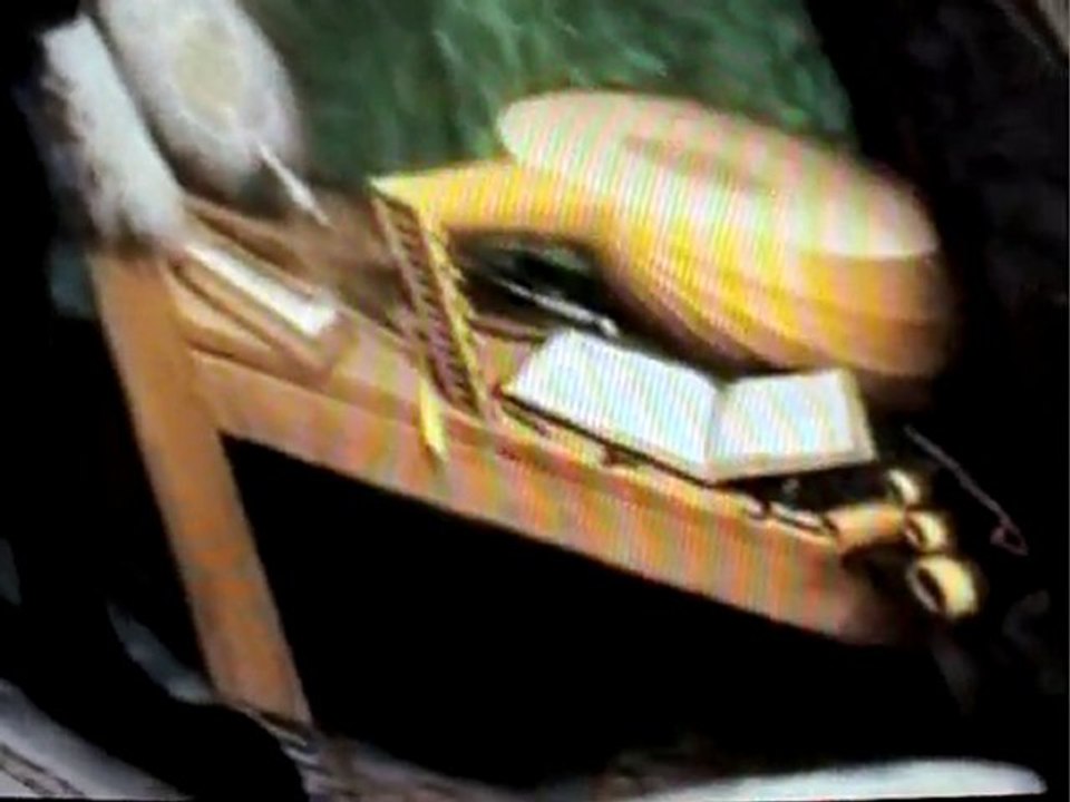 Hans_Holbein the younger_The Ambassadors