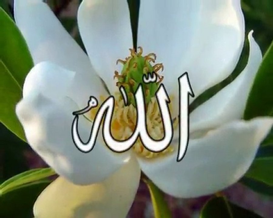 ELHAMDULİLLAH-www.yedirenk.net
