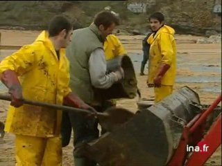 Belle Ile / marée noire