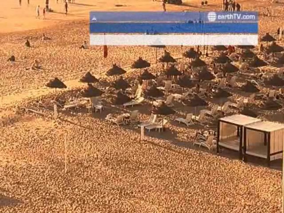 Barcelona - Spain, Geneva - Switzerland, Ascona - Ticino - Switzerland, Ekaterinburg - Russia, Brussels - Belgium, Agadir - Morocco, Bandar Seri Begawan - Brunei