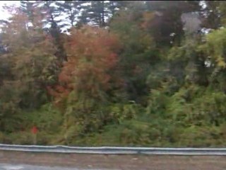 Sur la route de Boston et premières impressions