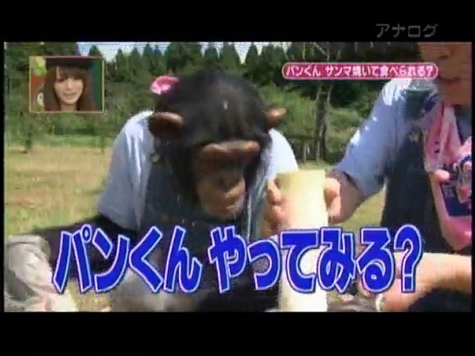 fishy chimp