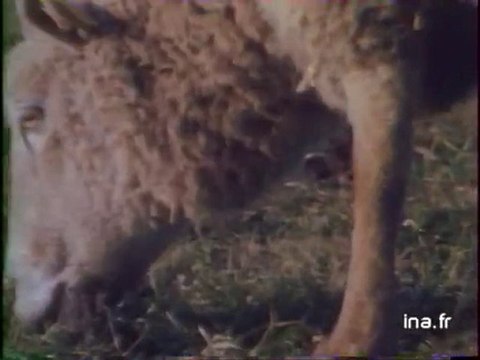 DOSSIER : LES ILES BRETONNES