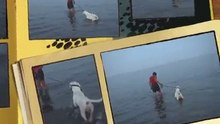 ОЛИВЕР