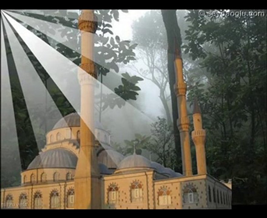 Mustafa Dursun - Menzil gulu yiwi.net