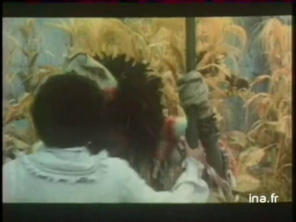 Extrait : "The wiz"