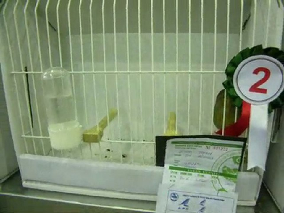 AHRAC KABAKLAR | 2010 BURSA