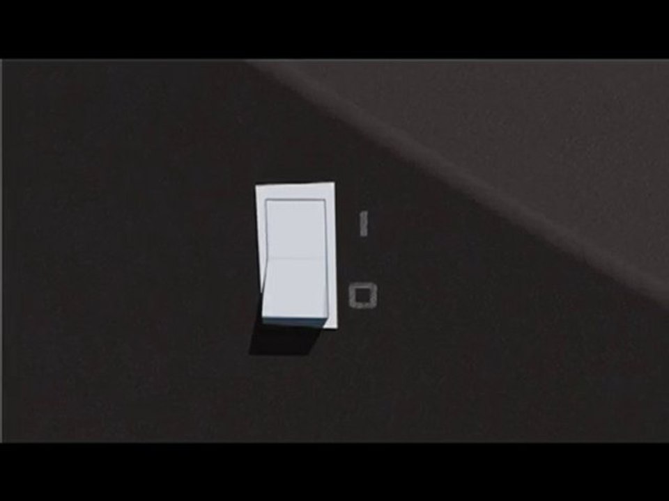 Festival International du Film d'Environnement 2010