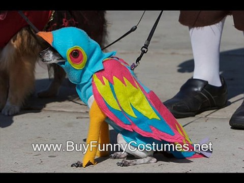 male halloween constume ideas