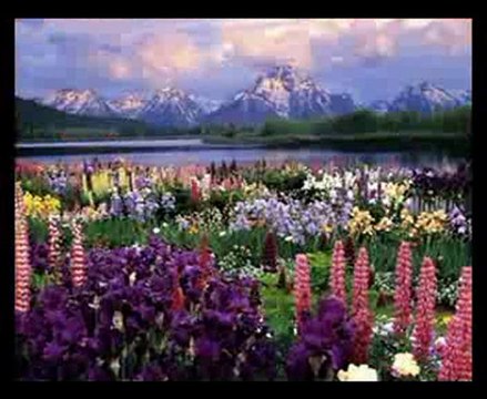 Mustafa Dursun - Yardım Eyle Yarab yiwi