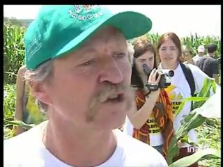 [Haute Garonne : Les Faucheurs d'OGM]