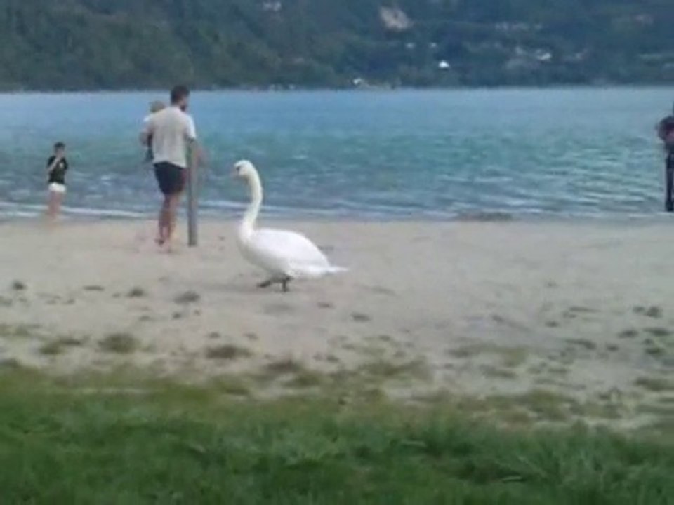 Promenade au bord du Lac d'Aiguebelette