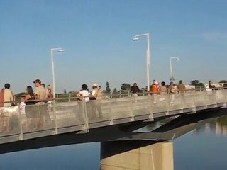 Nantes / St Séb : inauguration pont Léopold Sédar Senghor