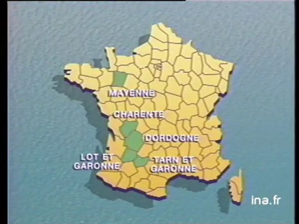 Trafic de chiens dans le lot