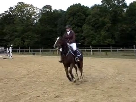 CSO Club 2 Grand Prix - Bois d'Arcy