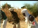 [La terreur des milices soudanaises sur les populations tchadiennes]