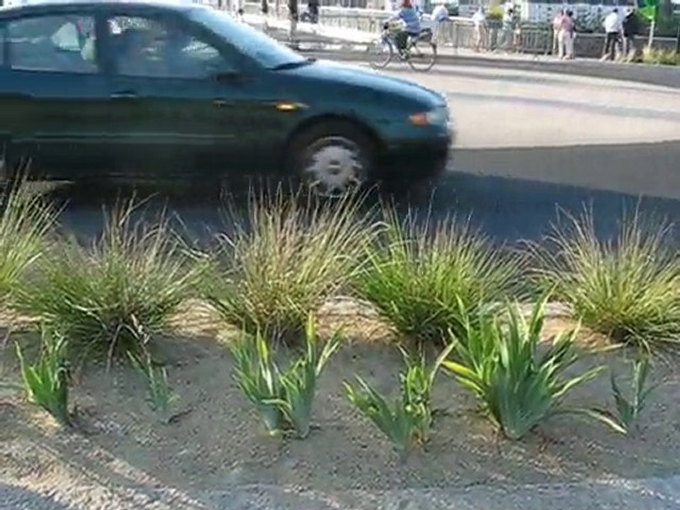 Nantes / St Séb : inauguration pont Léopold Sédar Senghor