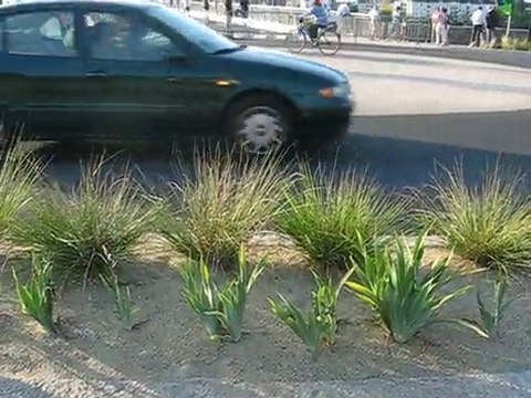 Nantes / St Séb : inauguration pont Léopold Sédar Senghor