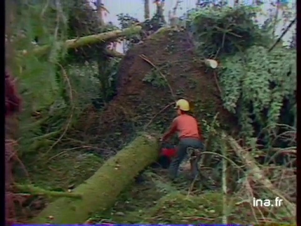 Forêts bretonnes