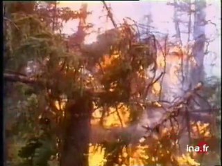 Rapport incendies/climat