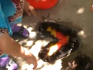 Tadjikistan - Zerafshan Tourism Development Association - 05