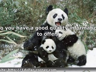 10 Questions Before Building Your Internet Business