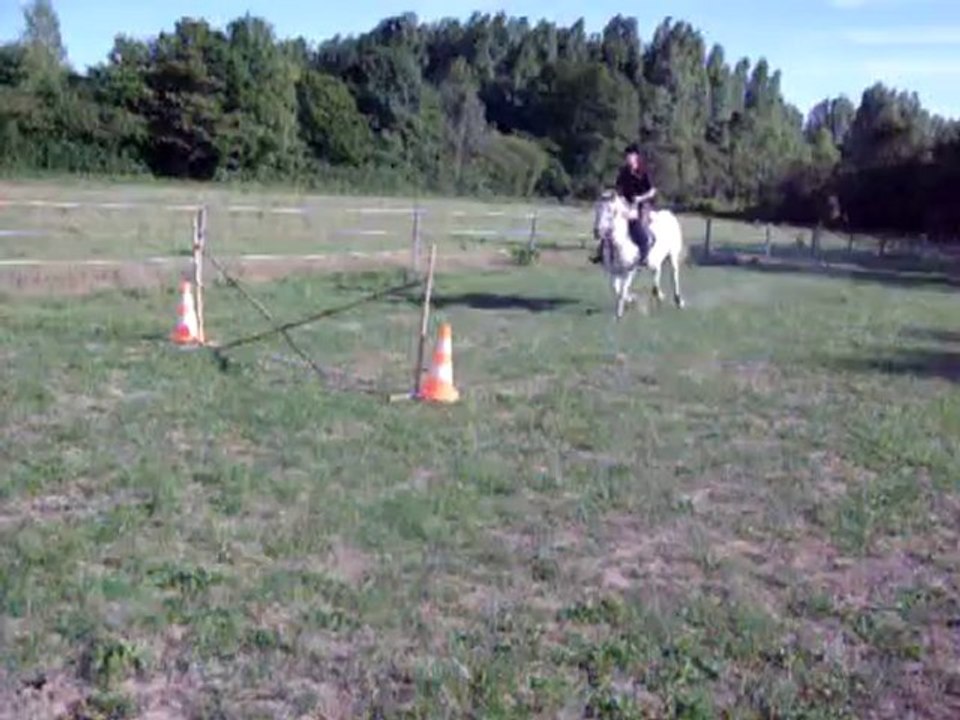 ma louloute cso 20 cm