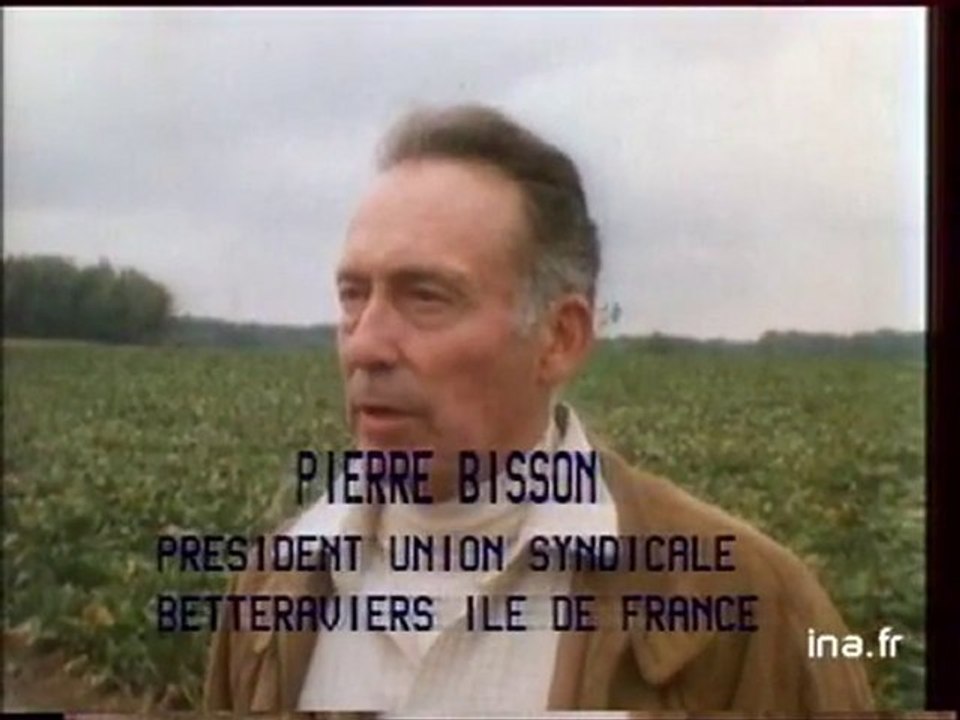 La récolte des betteraves