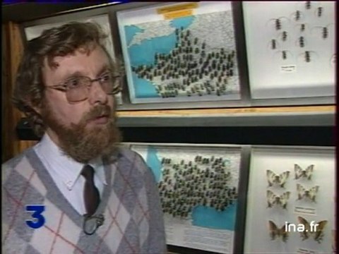 104 espèces d'insectes protégées en IDF