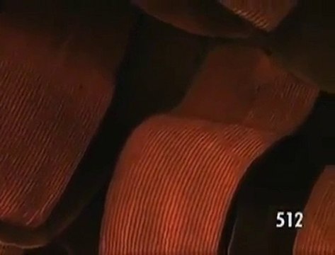 Kelebeği hiç bu kadar yakından gördünüz mü -