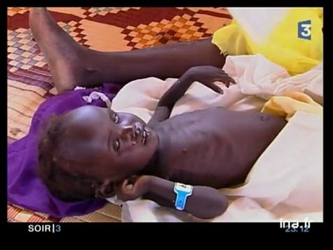 Darfour : l'ONU menace le Soudan de sanctions si le gvt ne désarme pas les Djand