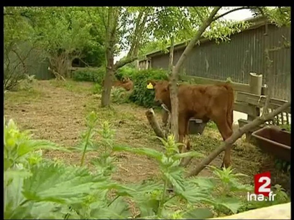 [Samsoe, une île aux énergies renouvelables]