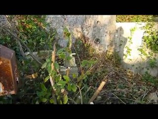 LE 16 OCT 2010 LE JARDIN