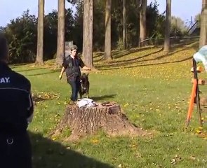 DEGHELT CONCOURS NIVELLES