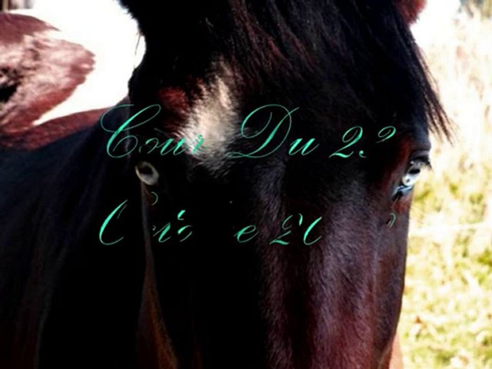 Moi && Mickey Blue Eyes ♥