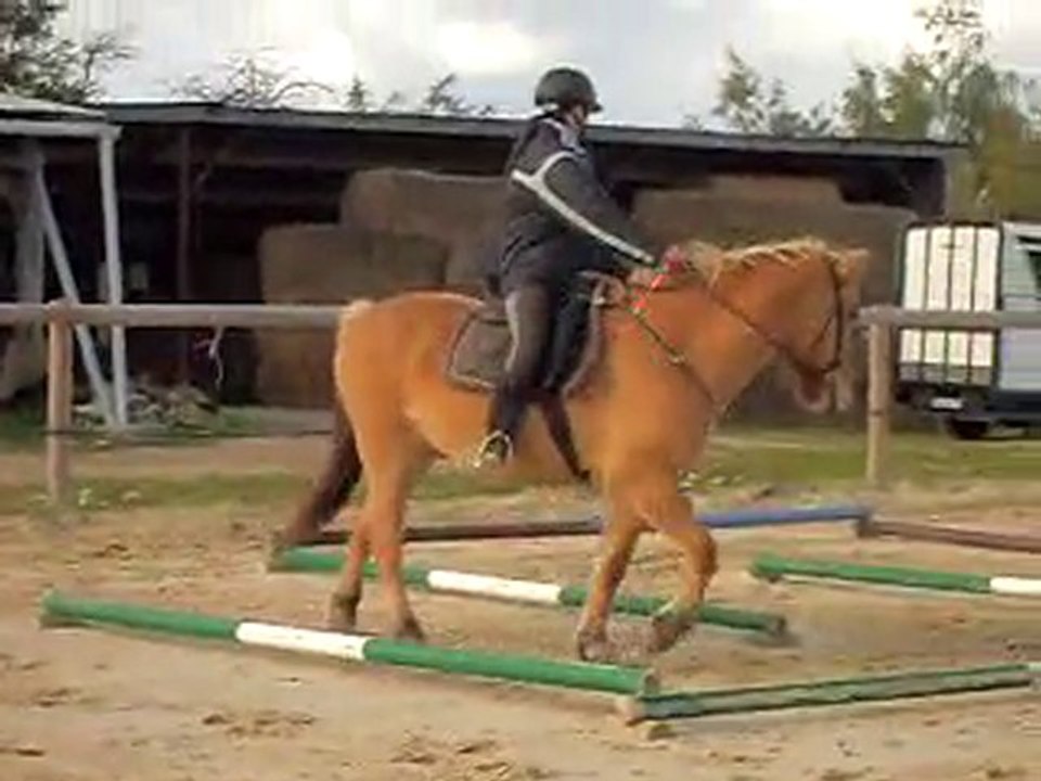 Pilou rally bernay 2010