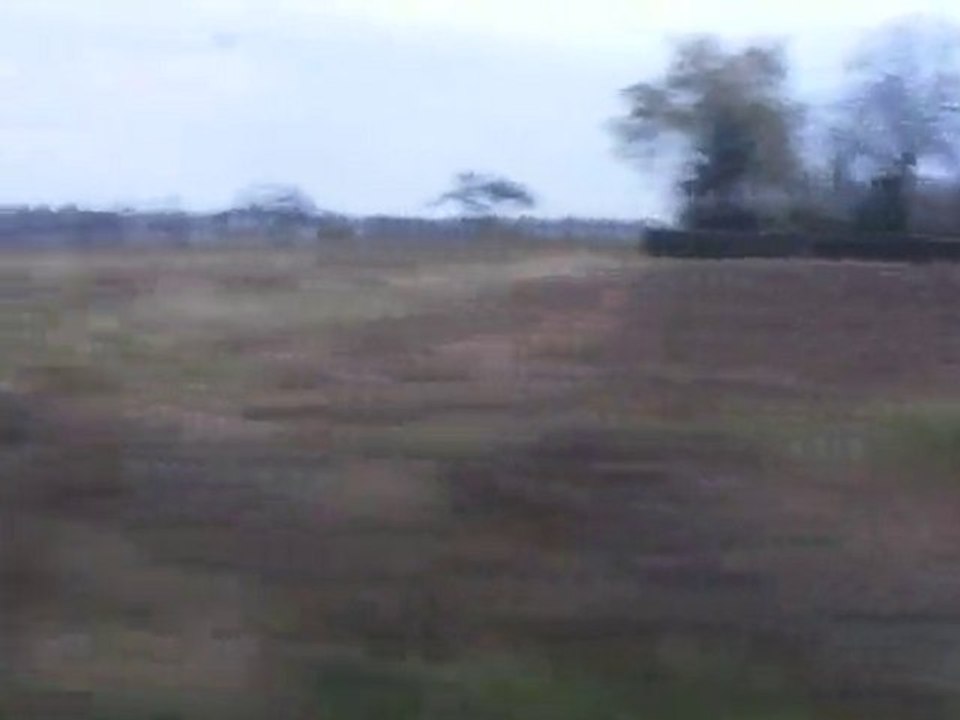 2010-10-24 TLK "familio" "13415 / 31414" Zakopane - Warszawa